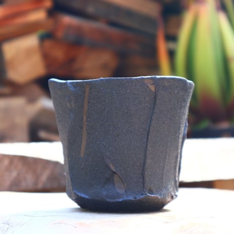 Kaori Ono〝blanca″／humanity pot    no50844