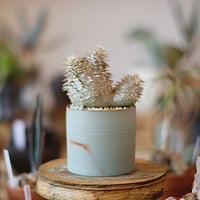 たけろうポット / テツ no.828-82 | 芽の巣山