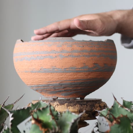 N/OH / MARBLE NOHBLE / コロ鉢 / L    no.421-33