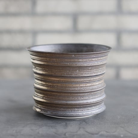 CATEGORY たけろうポット | 芽の巣山