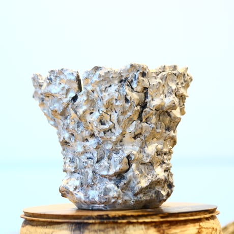 Yuta Uchida / silver rust monst / humanity pot    no.1231-81