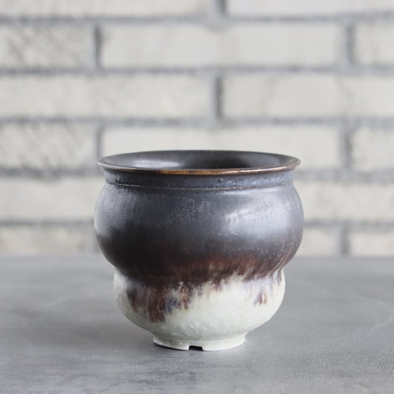 Takero Anzai × Tomoharu Nakagawa / 山山 特別共作鉢 (3.