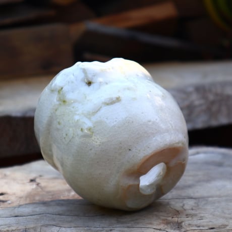 Mie  Maeda〝blanco″／humanity pot    no508144