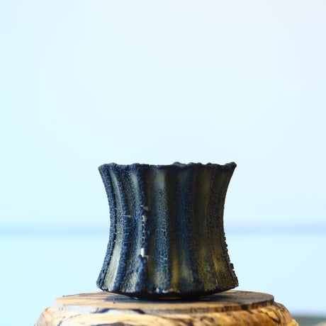 CATEGORY Rintaro Nonaka soso/礎礎 | 芽の巣山