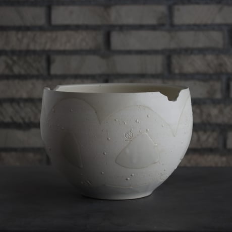 CATEGORY 大鉢 | 芽の巣山