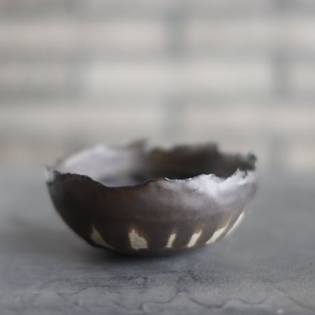 CATEGORY 5号鉢 | 芽の巣山