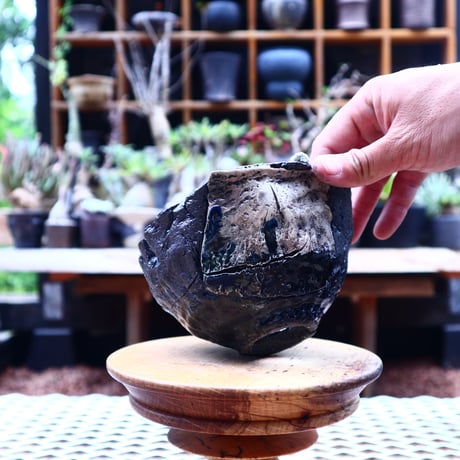 Ricca Okano 〝ruins″   /   humanity pot       no.565