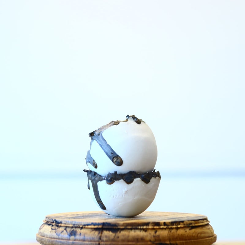 たけろうポット / チギリ / ハクガネ / S no.1029⑥ | 芽の巣山