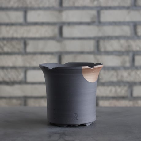 CATEGORY N/OH | 芽の巣山