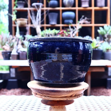 Tadao  Akutsu 〝瑠璃油″ ／ humanity pot       no.584