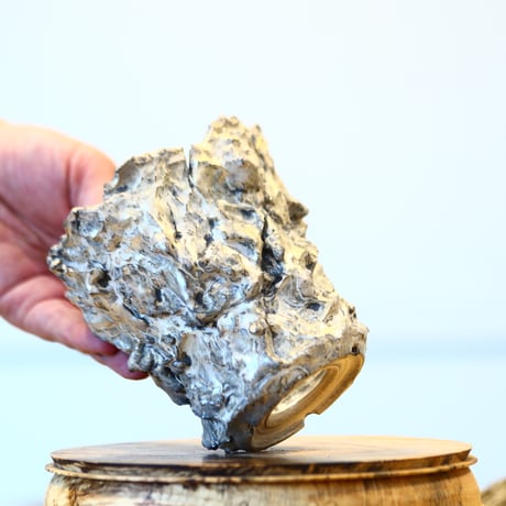Yuta Uchida / silver rust monst / humanity pot    no.1231-78