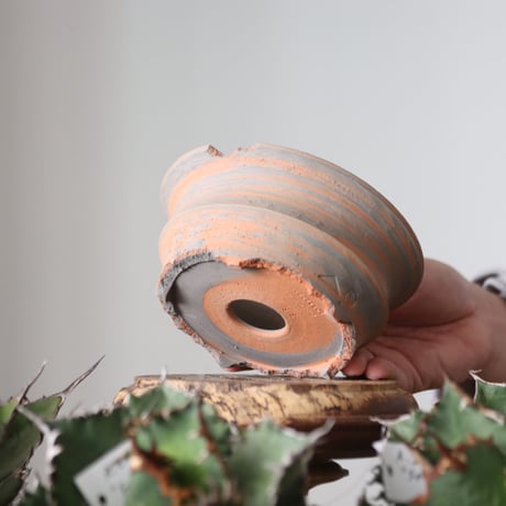 N/OH / MARBLE NOHBLE / M12 / SS    no.421-19