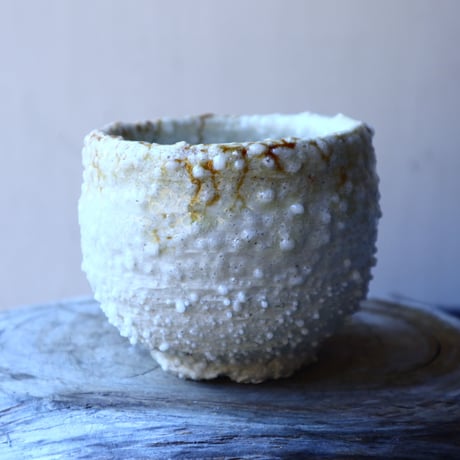 HAKASEPOT   SHIROTSUBU  /  ivory     no.21604