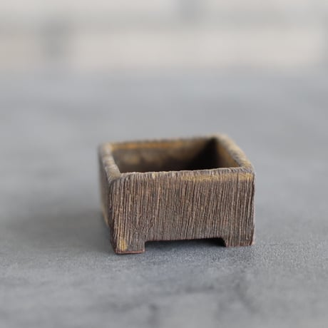 CATEGORY 2号鉢 | 芽の巣山