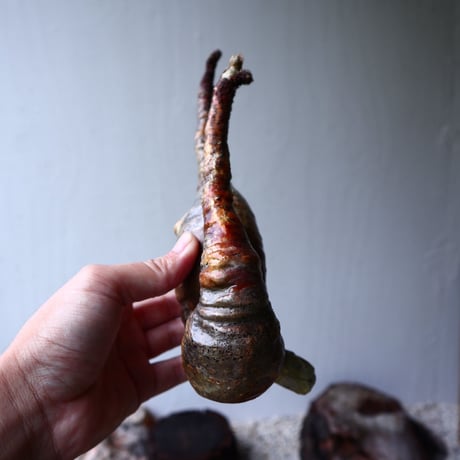パキポディウム グラキリス 2頭 Pachypodium rosulatum var. gracilius no.70704