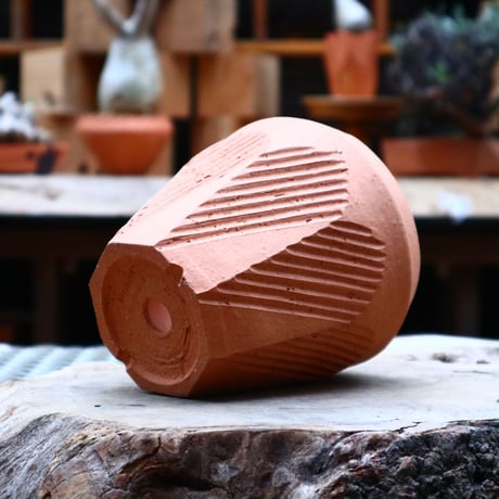 N/OH  INORI / M / Persimmon    no.417/72