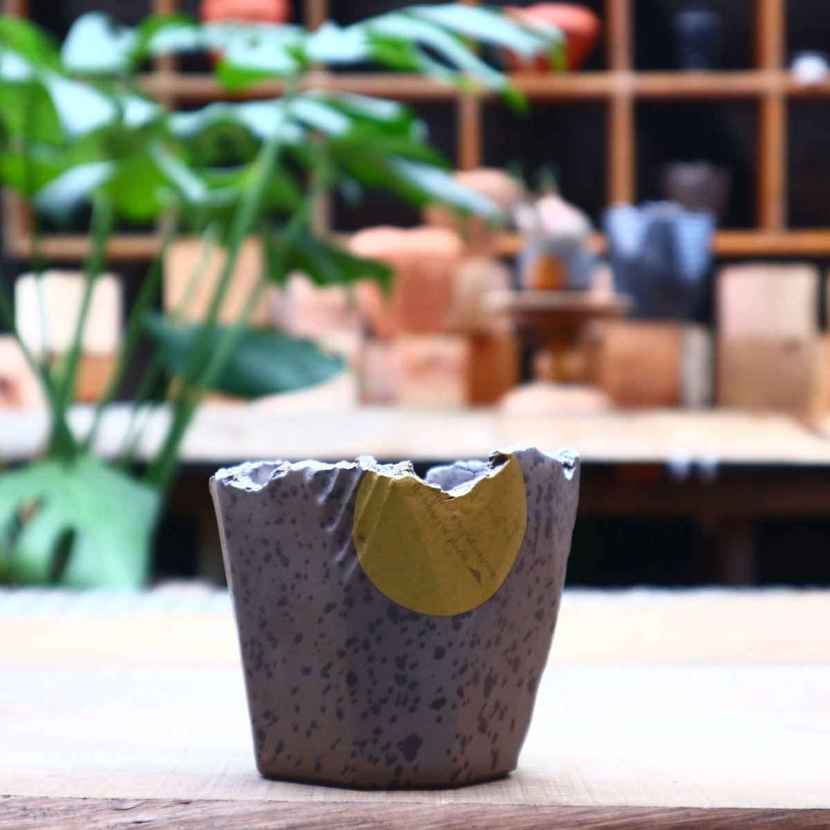 N/OH 澪標 Sサイズ (山ノ月 グレー) 【公式通販】