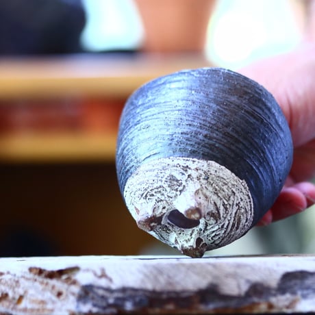 joint pot   安西桂   ×   安西岳郎   親子鉢〝土の子″  M  no.82362