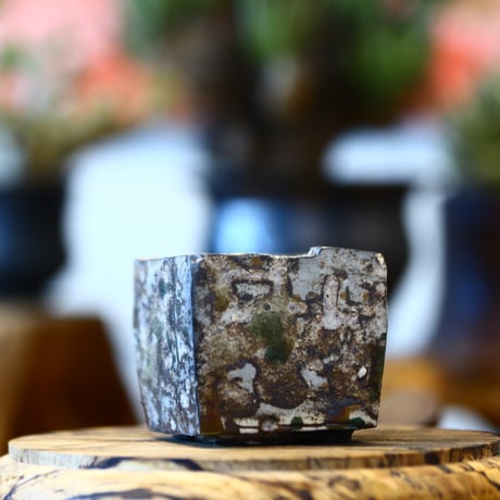 たけろうポット / カクバチ / マメ / ミドリトバシ   no.310-37