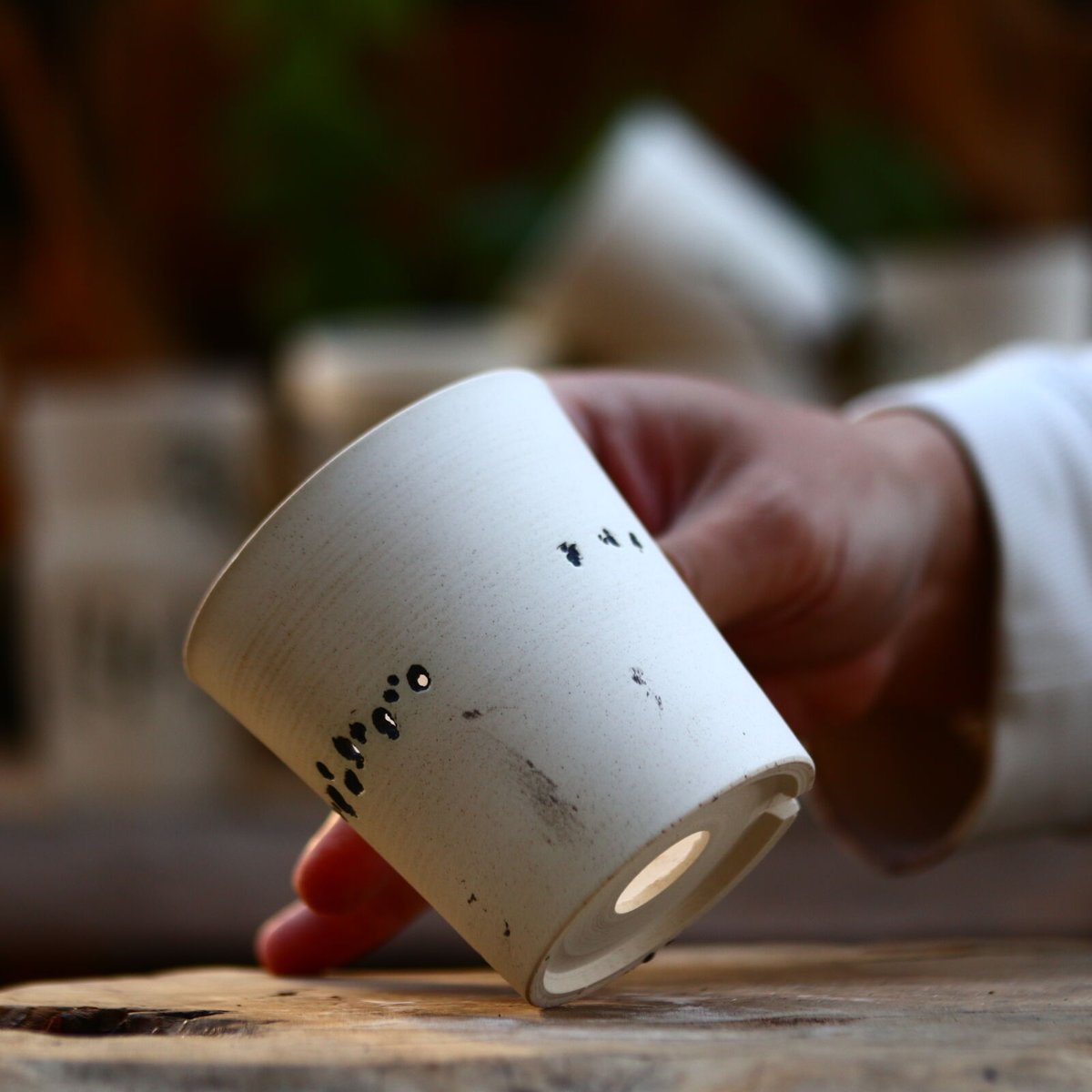 たけろうポット/ハク/ムシクイ/シリンダーM no.219-118 | 芽の巣山