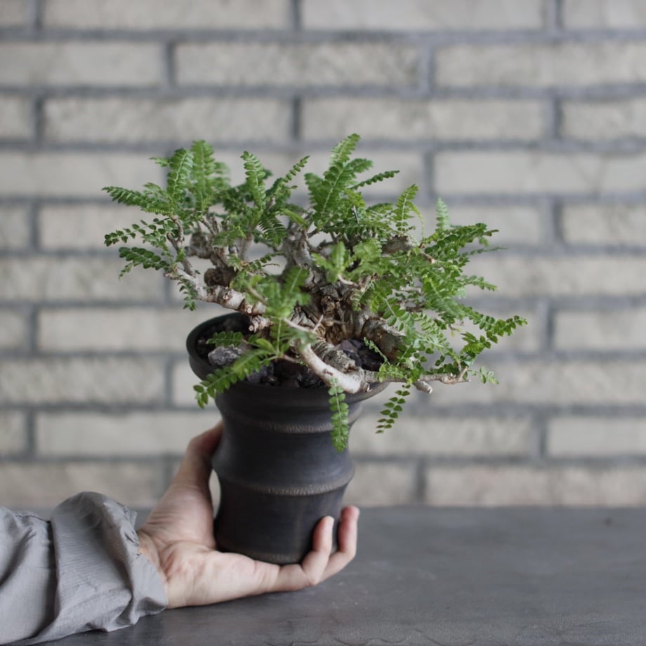 6a11c4844dcf6e7e59daacc8