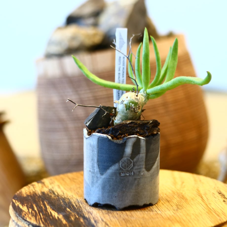 65ac75f3af9b6b00321657ee