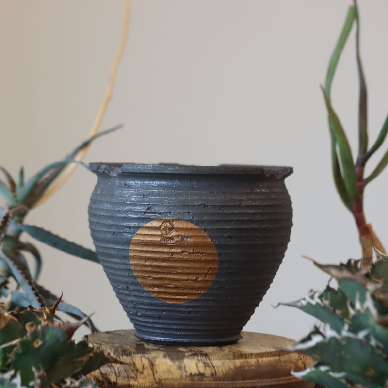 No.929 花瓶 No.929 花瓶