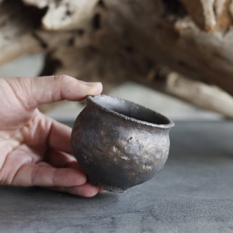 TAKERO POT / Tsubo / Tetsu  (2.5号)   no.525-53