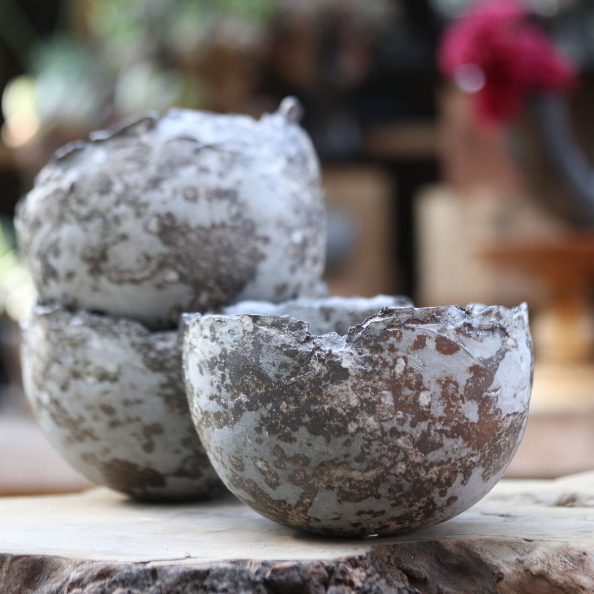 たけろうポット／シロサビ／チギリ／L no.1106-47 | 芽の巣山