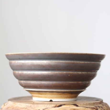 たけろうポット/ チャ    no.505-109