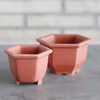 Konect / nos pot / Renga  no.628-9