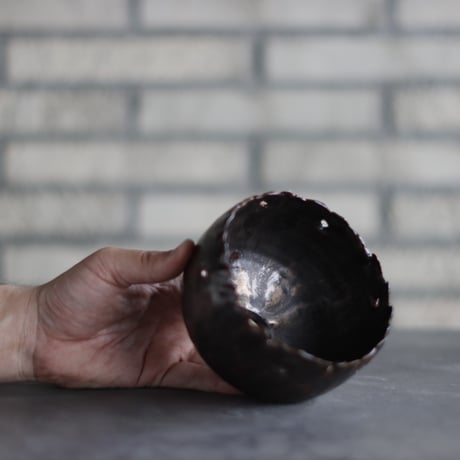 Shu Hirai -Connecting Rajasan and The Sun- / PLANETX (4号)  no.511-46