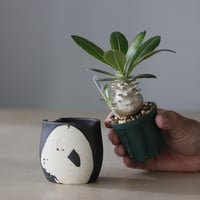 たけろうポット、　ちぎり、　白サビＳ たけろうポット / ちぎり/ 白サビ / ツブ / LL no.211-65 | 芽の巣山