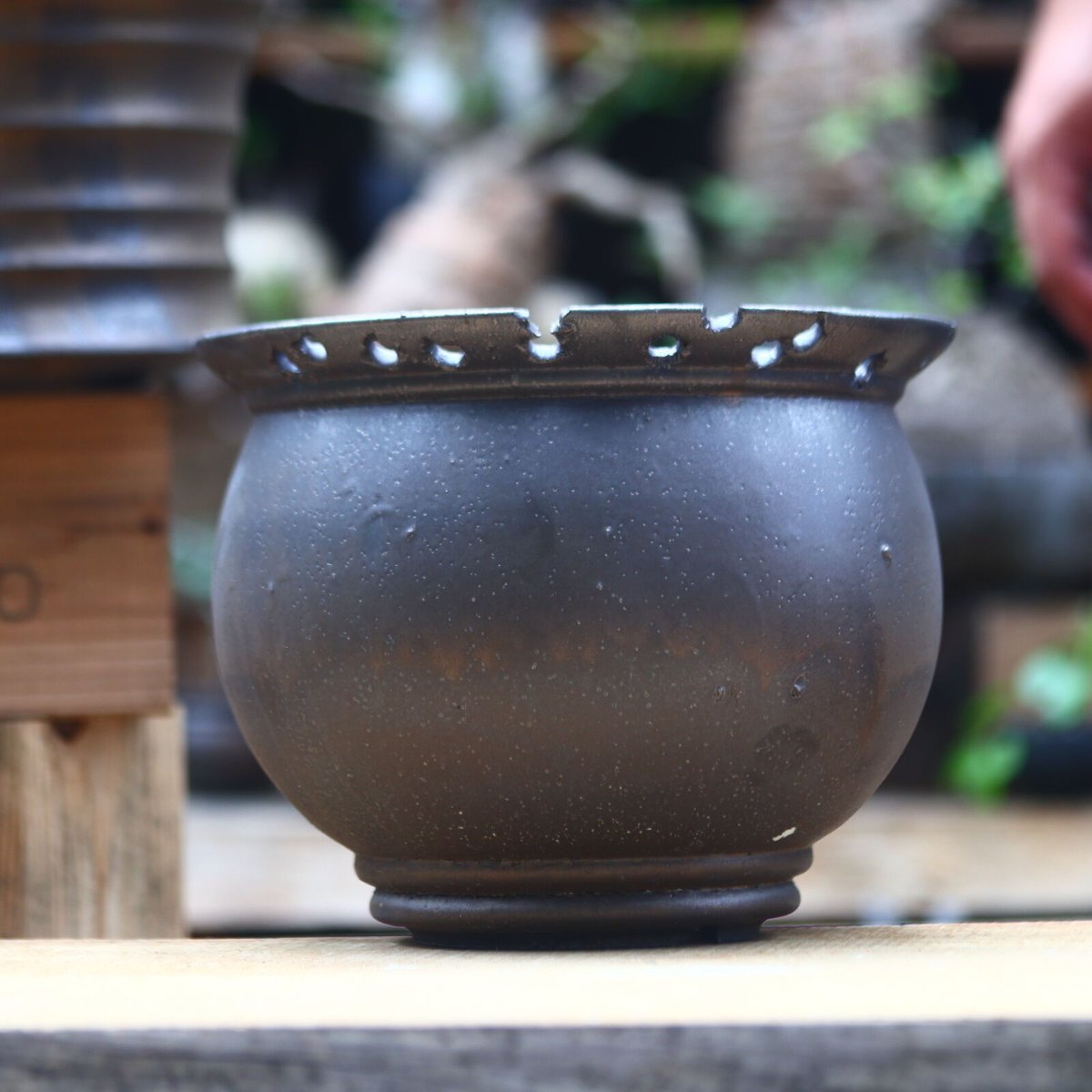 すーさん専用　たけろうポット/ テツ たけろうポット / テツ no.828-93 | 芽の巣山