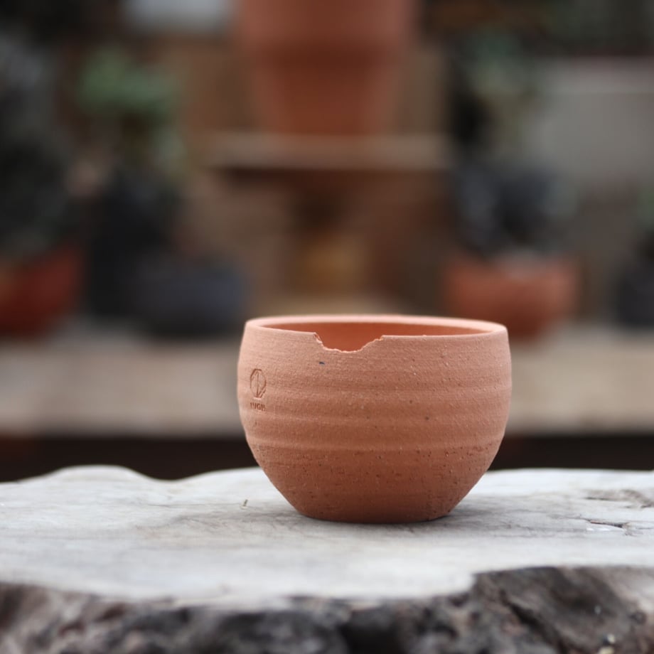 61981722863b736f391c59f9