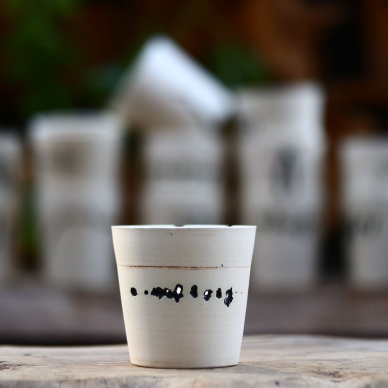 たけろうポット/ハク/ムシクイ/シリンダーS no.219-82 | 芽の巣山