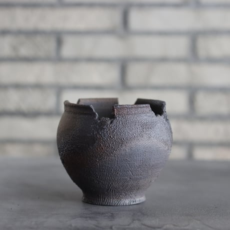 CATEGORY たけろうポット | 芽の巣山