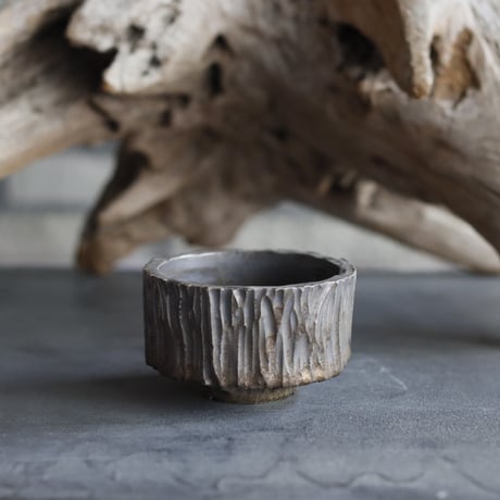 TAKERO POT / Tetsu  (3号鉢)  no.323-10