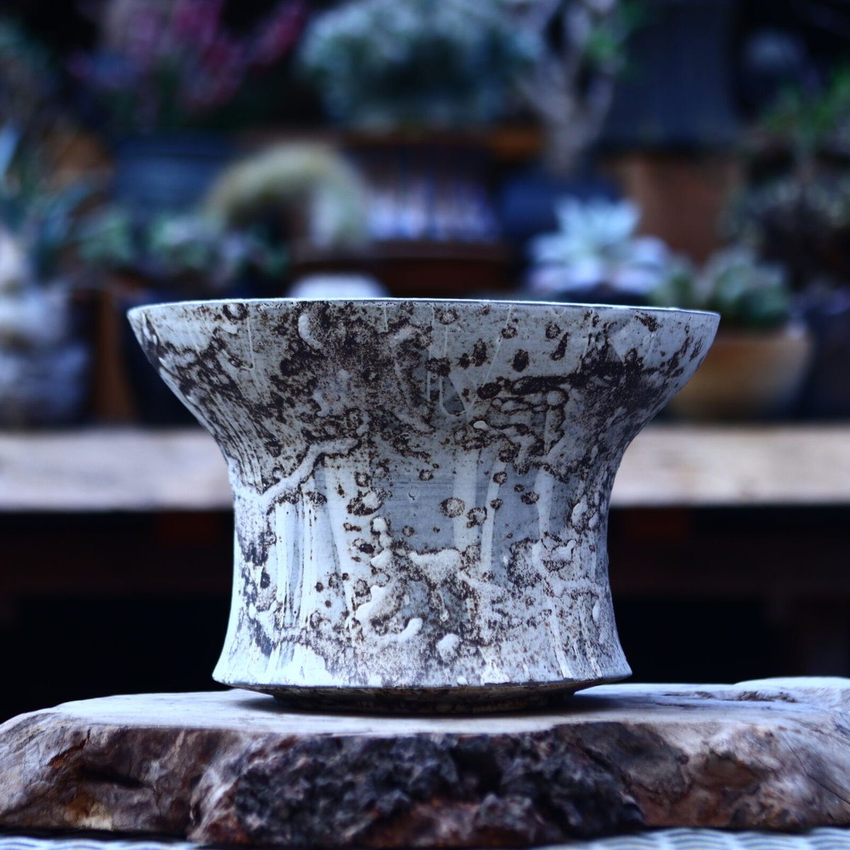 たけろうポット 大鉢 / 台形 / シロサビ no.1226-06 | 芽の巣山