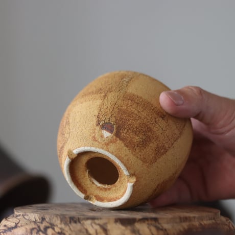 Masato Akutsu〝crack ocher″ / humanity pot    no.609-29