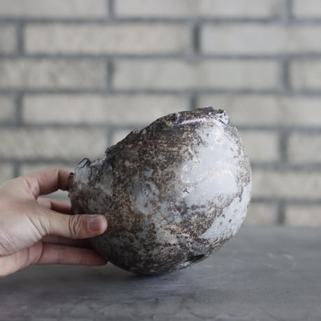 TAKERO POT / Chigiri / シロサビ / XL (5号)  no.308/1