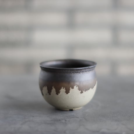 □芽の巣山購入 安西桂 鉢6500 CATEGORY joint pot 安西 桂 × たけろう | 芽の巣山