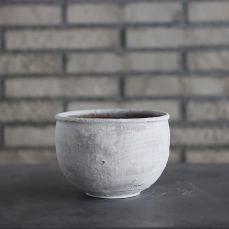 CATEGORY 5号鉢 | 芽の巣山