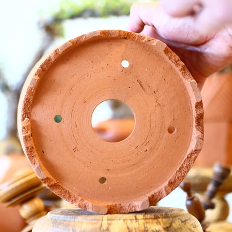 N/OH / Cylinder / Persimmon + Line / M    no.317-41