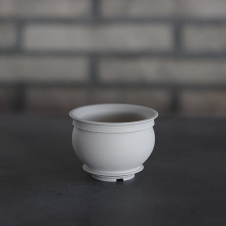 CATEGORY 2.5号鉢 | 芽の巣山