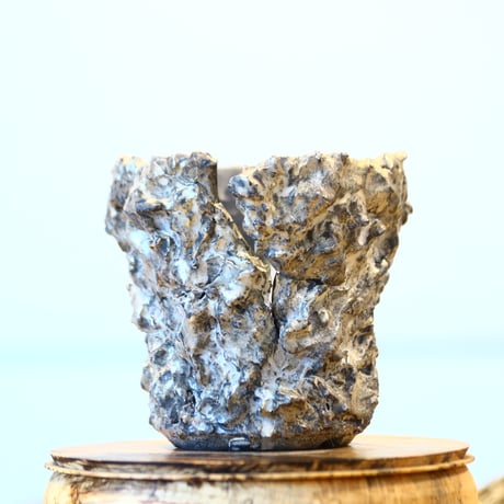 Yuta Uchida / silver rust monst / humanity pot    no.1231-80