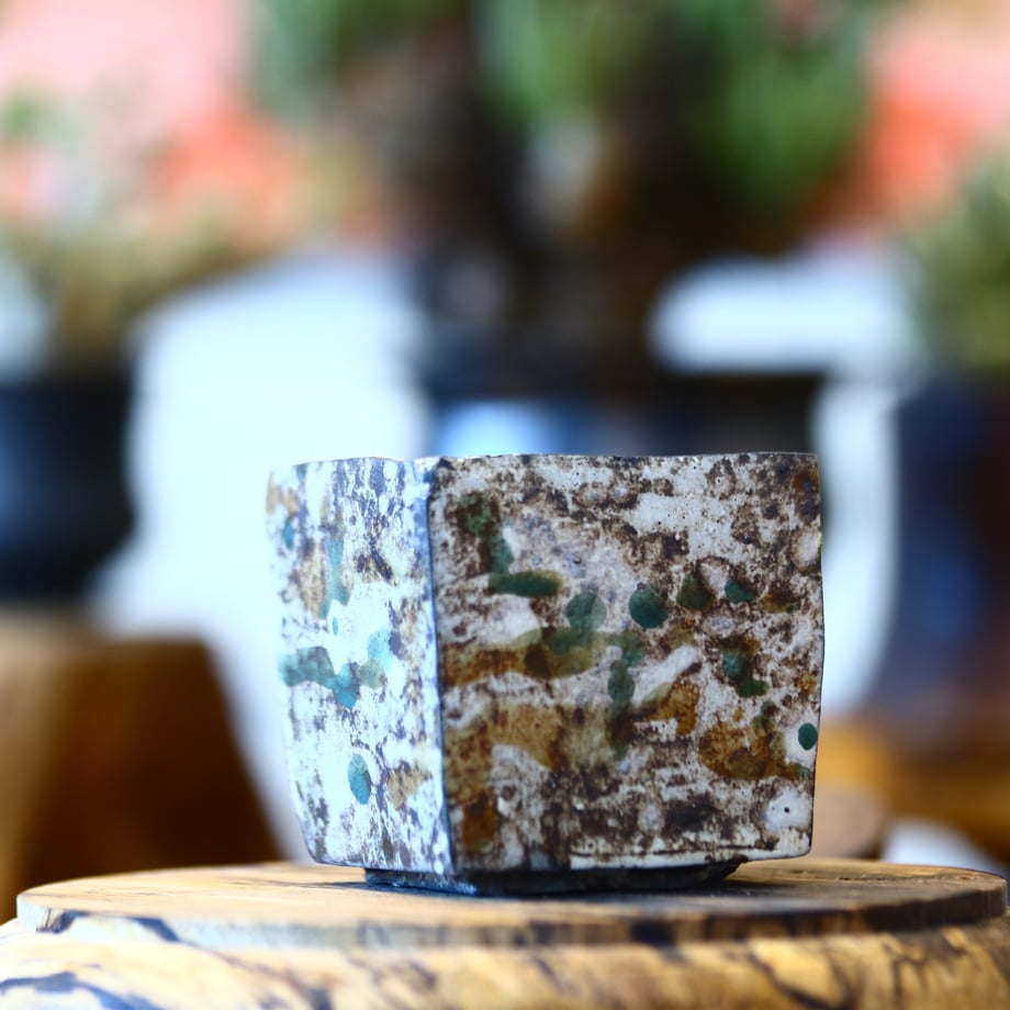 65e7f1d9e47f10049f85ea96