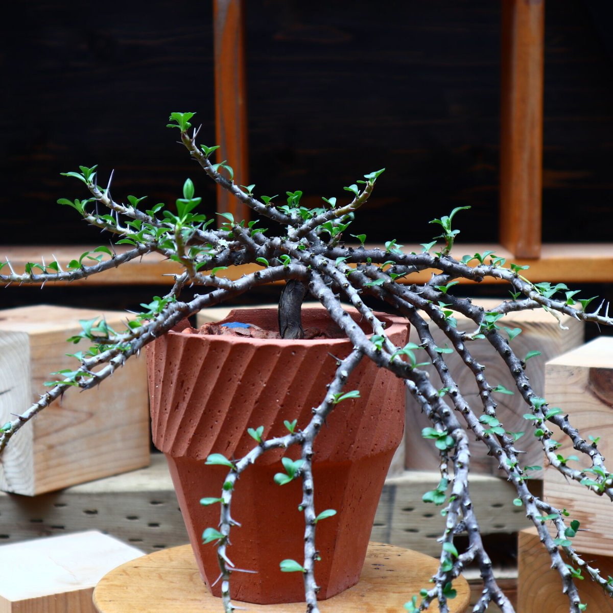 fit=scale-down,w=1200