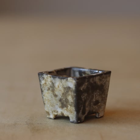 CATEGORY 2025/2/23 20:00~再盆器 | 芽の巣山