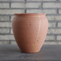 アデニア グラウカ／Adenia glauca no.103057 | 芽の巣山